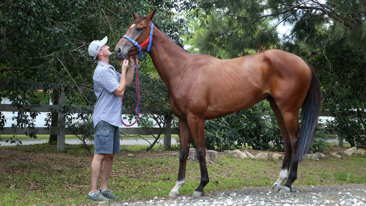 Close bond: Trainer Luke Price with emerging racehorse Tochi. Picture: Sylvia Liber.