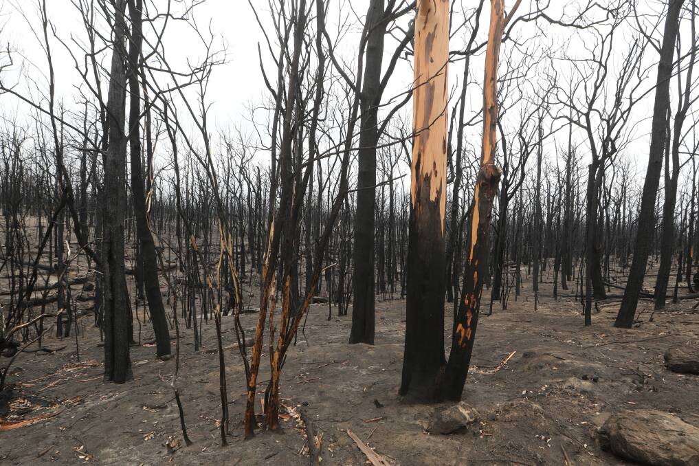 Bushfires that tore through Kangaroo Valley (above) and other areas of the South Coast may have bit lit by "eco-terrorists", according to an Illawarra-based senator. Picture: Robert Peet