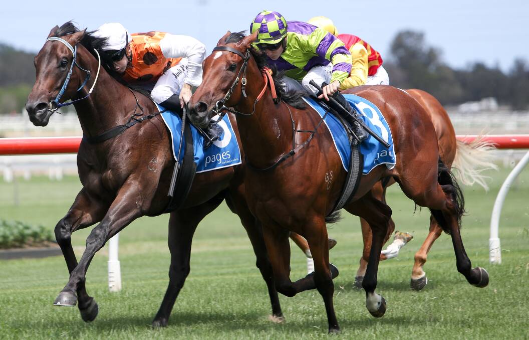 Back on track: Gwenda Markwell's two-year-old filly Stolen Glance will chase the second win of her career when she returns from a spell at Kembla Grange on Thursday. Picture: Adam McLean.
