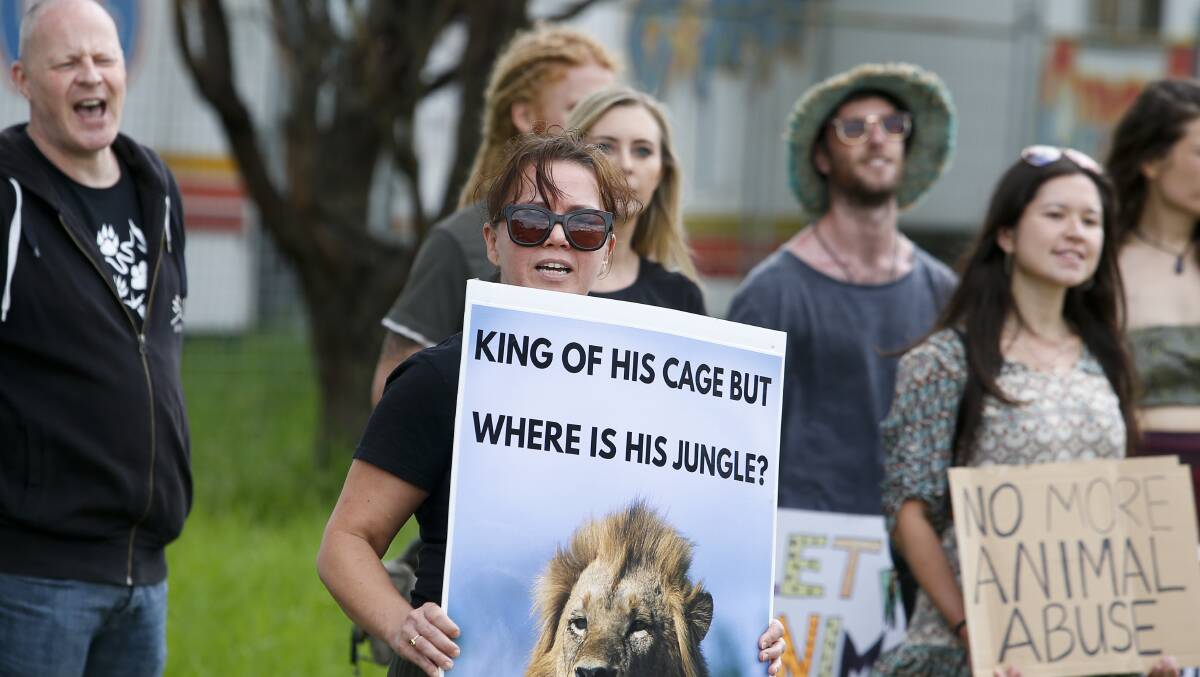 Animal rights activists protest at Stardust Circus in Shellharbour |  Illawarra Mercury | Wollongong, NSW