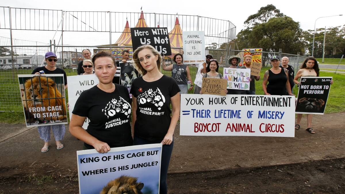 Animal rights activists protest at Stardust Circus in Shellharbour |  Illawarra Mercury | Wollongong, NSW