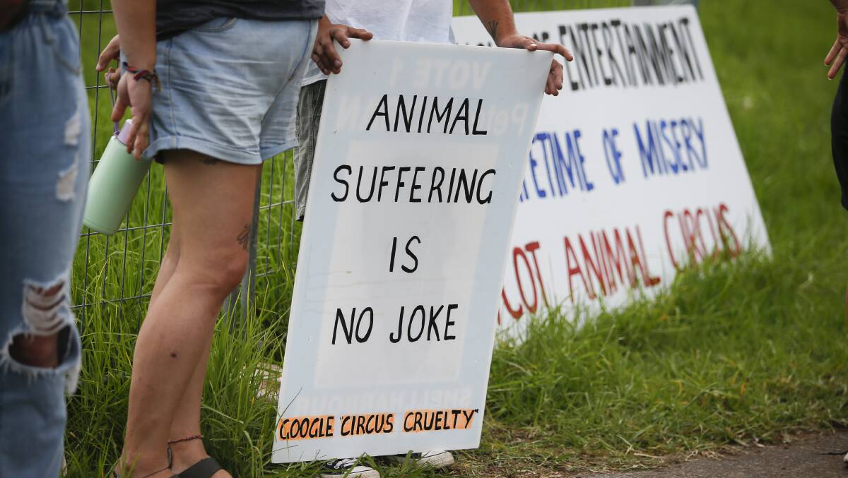 Animal Justice Party activists protest outside the Stardust Circus near Shellharbour. Picture: Anna Warr