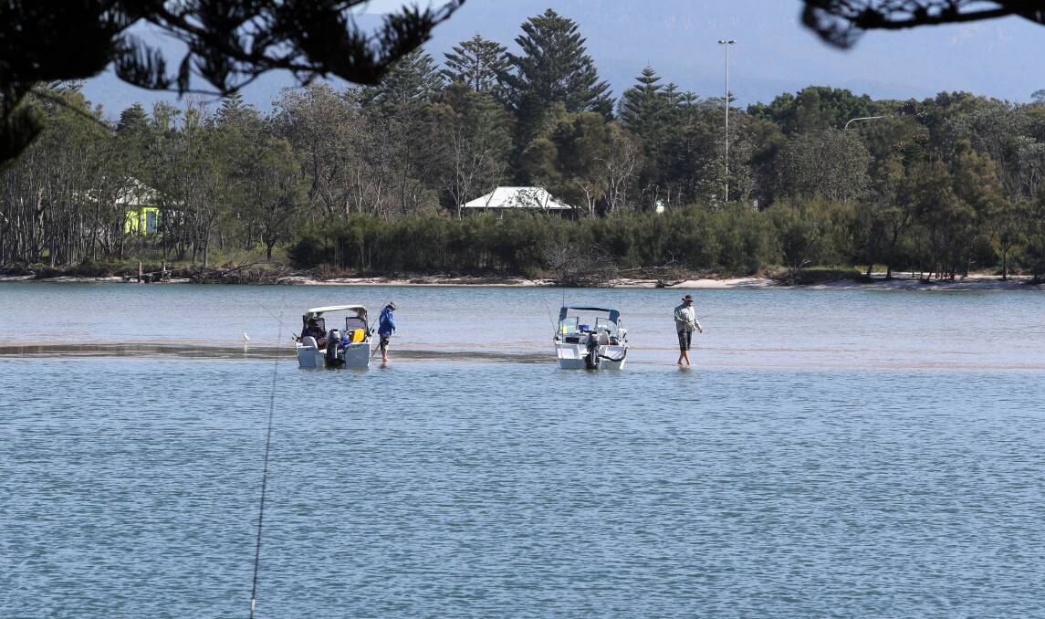 Lake Illawarra is an 'environmental gem', but will councils pay up to protect it?
