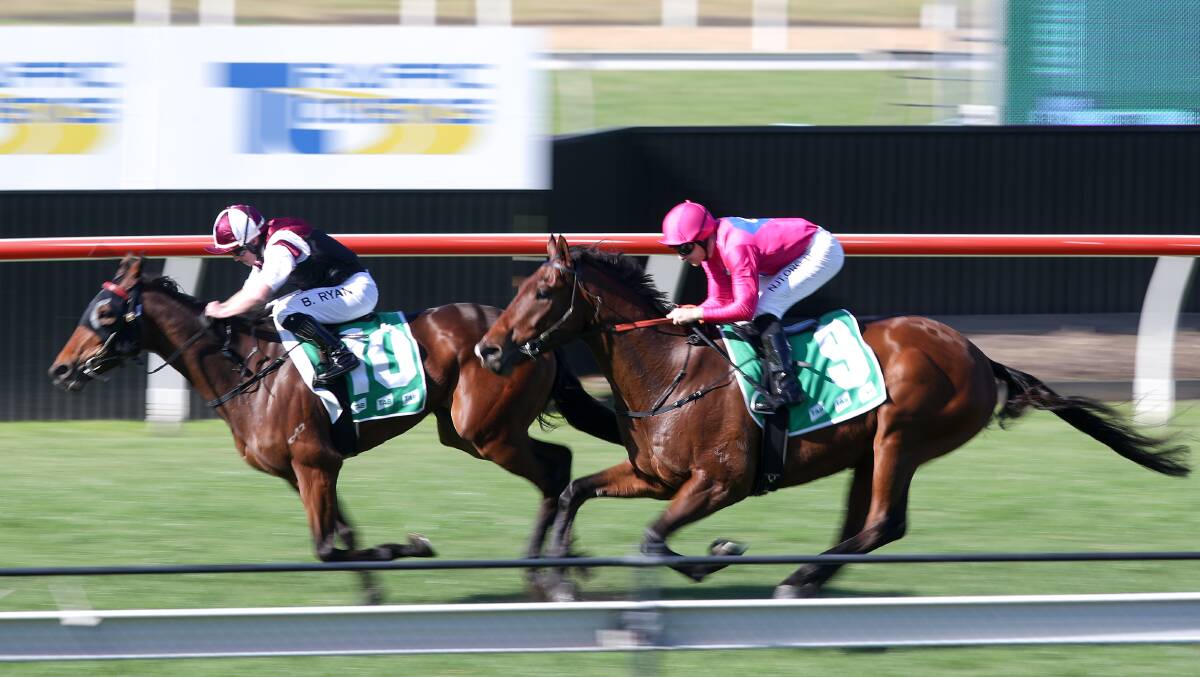 On track: Theresa Bateup's Eberlee (left) will contest a 1600 metre class one and maiden plate at Nowra on Friday. Picture: Adam McLean.
