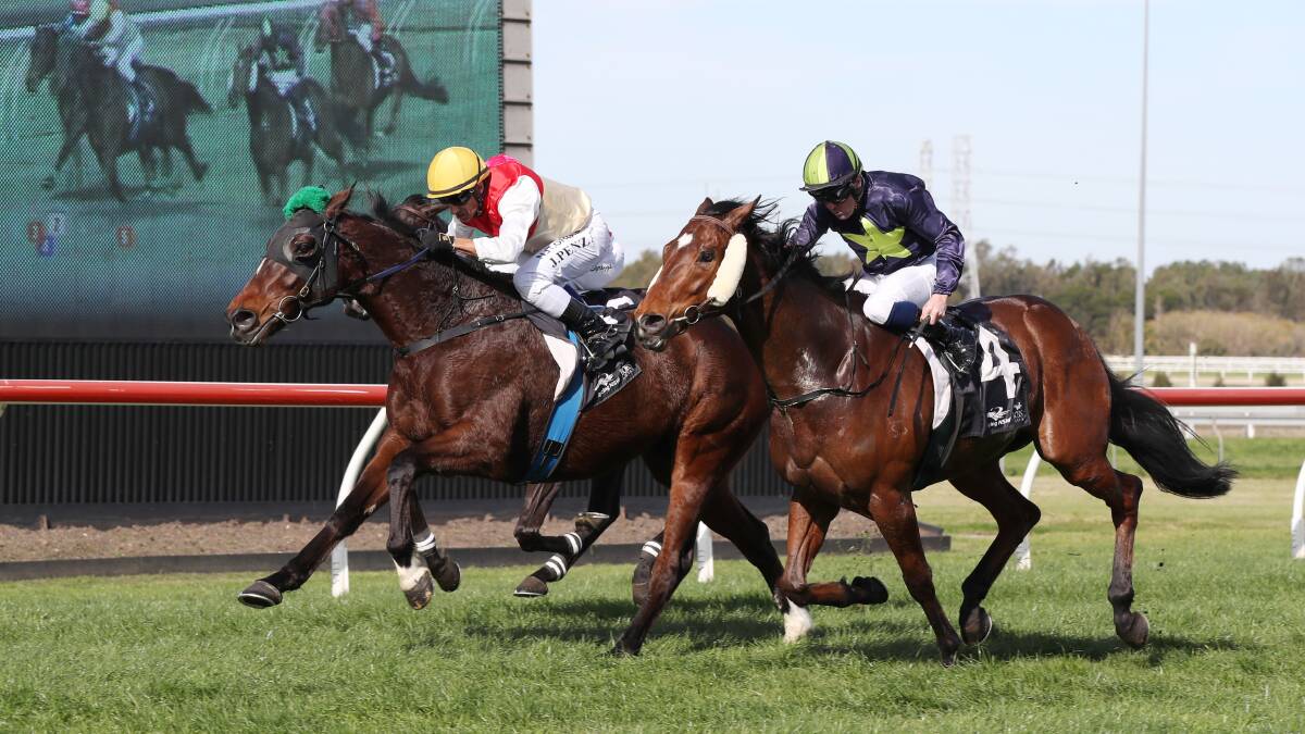 Tight victory: Jeff Penza and By Design (left) held off a fast-finishing Hello China (right) to claim the first at Kembla Grange on Saturday. Picture: Robert Peet.