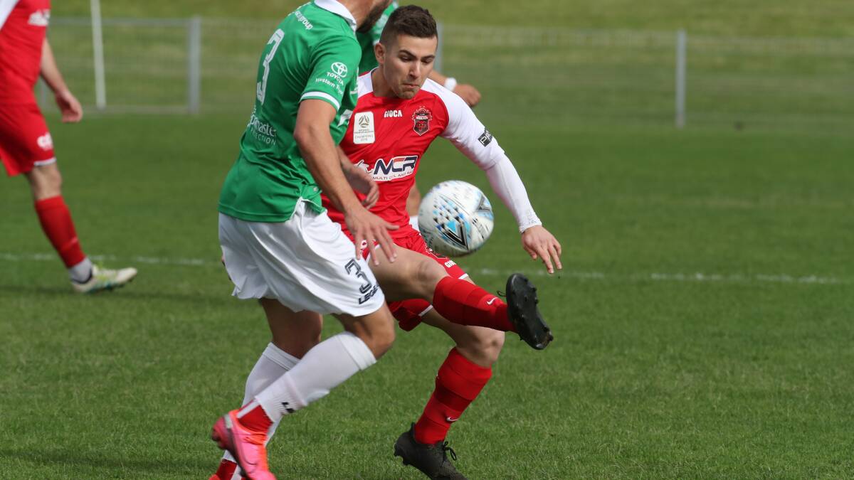 Emerging talent: Harry Taranto is one of a number of promising youngsters making the most of their opportunity for the Wolves. Picture: Robert Peet.