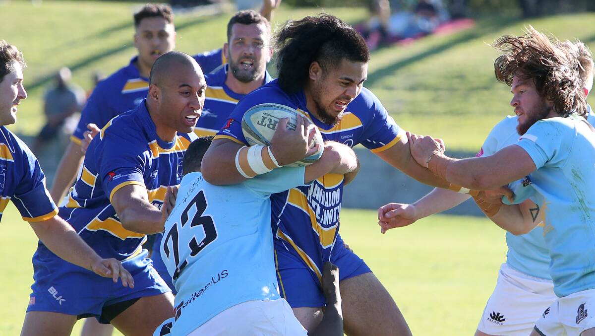 Physical affair: Avondale's Willy Taiti-Taanoa fights through the Vikings defence. Picture: Sylvia Liber.