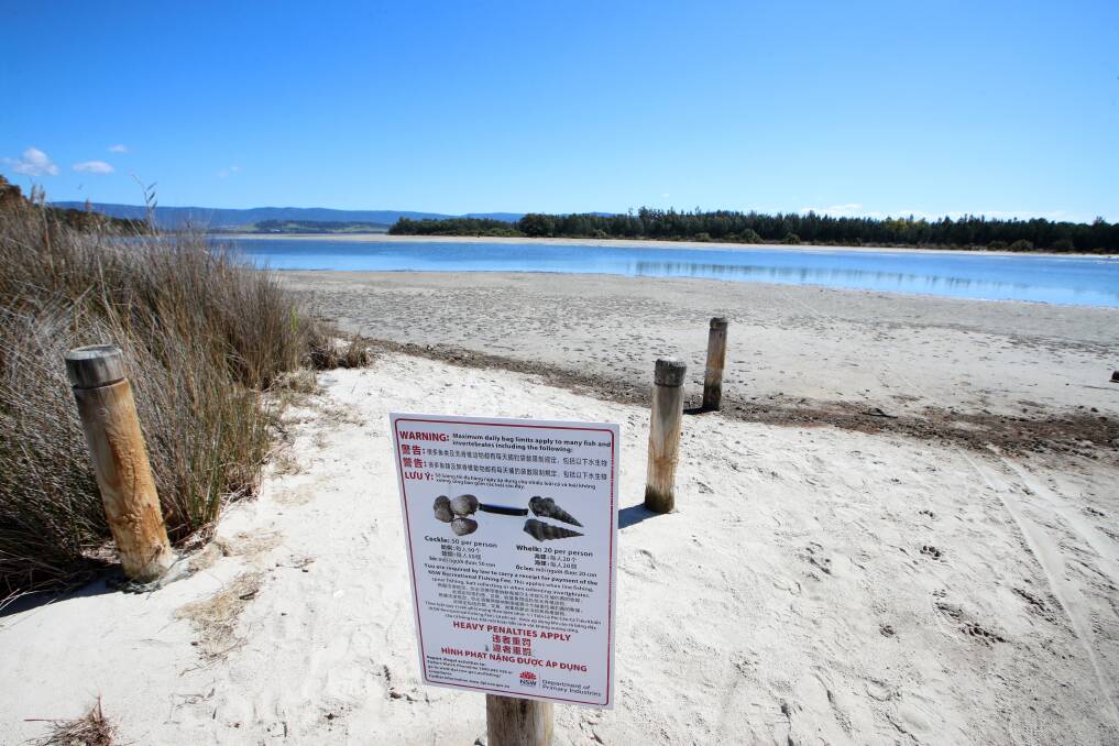 A sign at Lake Illawarra warning of the bag limit for cockle fishing. Shellharbour MP Anna Watson wants the practice banned. Picture: Sylvia Liber