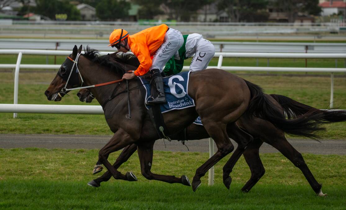 Contender: Cameron Handicap winner Rock is among the favourites for Saturday's race. Picture: Marina Neil.