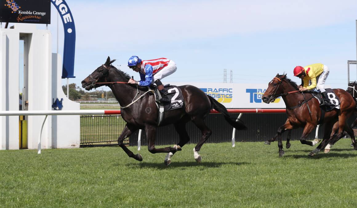 Dominant: Our Bambino storms to victory at Kembla Grange. Picture: Robert Peet.