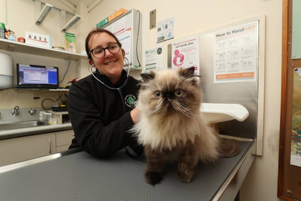 Lucy Asher from Greencross Vets West Wollongong says an unsuspecting bunch of flowers nearly killed Astrid the Himalayan cat. Picture: Robert Peet