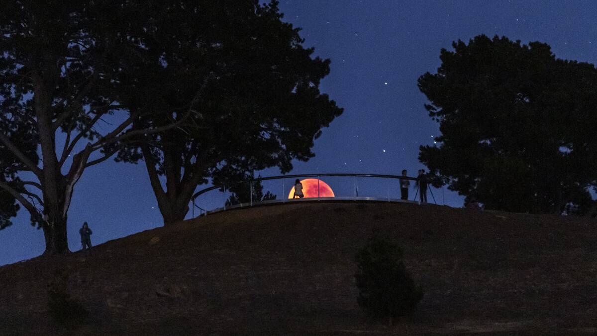 The Blood Moon glows read over the National Arboretum in Canberra in 2018. Picture: Ari Rex