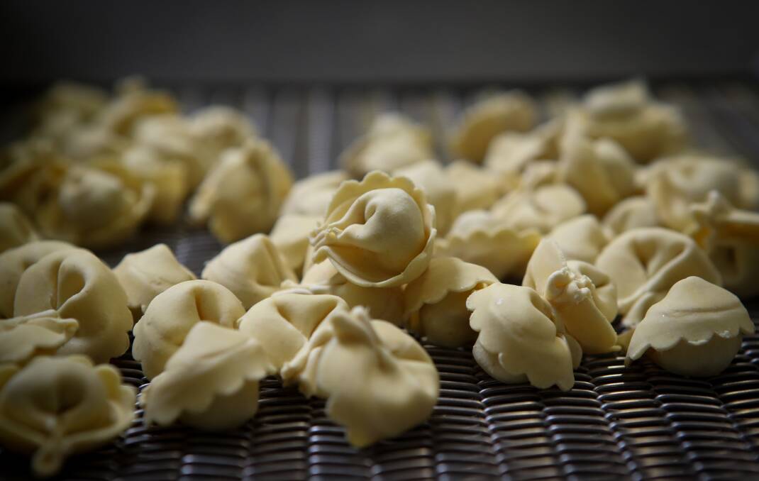 The tortellini machine at Fedora Pasta turns out hundreds of these gorgeous little morsels.