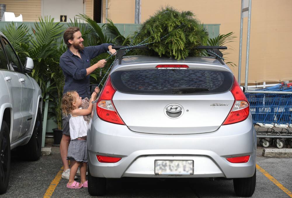 Farmborough Heights resident Tom Golding with his daughter Mollie Golding-Higgins 4 getting their Christmas tree at Leisure Coast Fruit Market & Deli. Picture by Robert Peet.