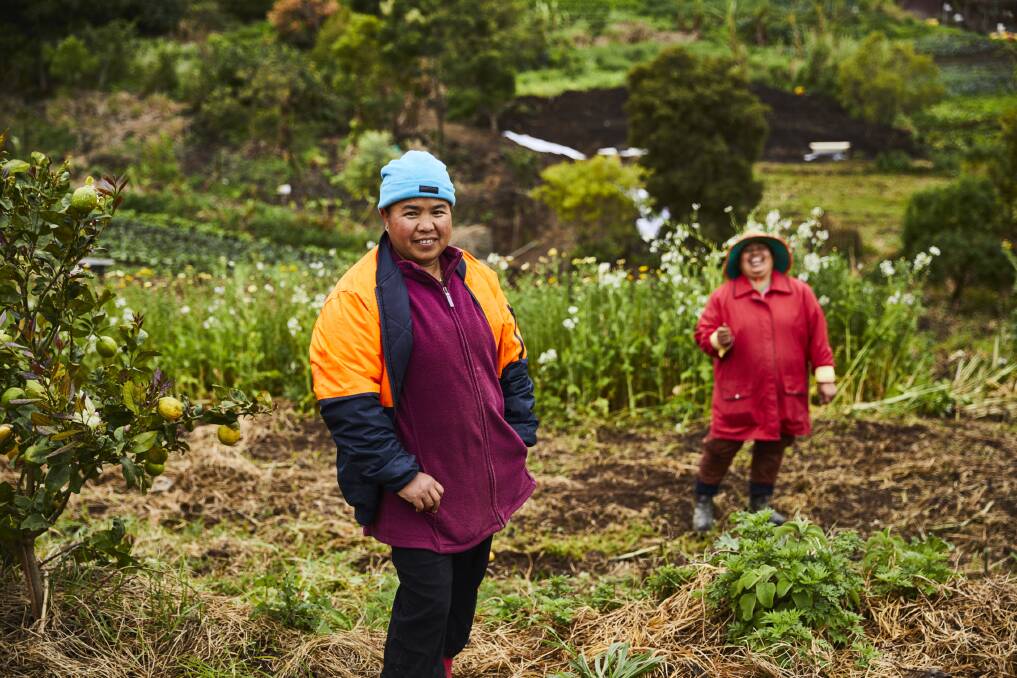 SKILLS: Farm workers Kaw Meh (left) and Su Meh share a smile amid the growing beds at the Port Kembla Green Connect farm. Picture: Tomasz Machnik.