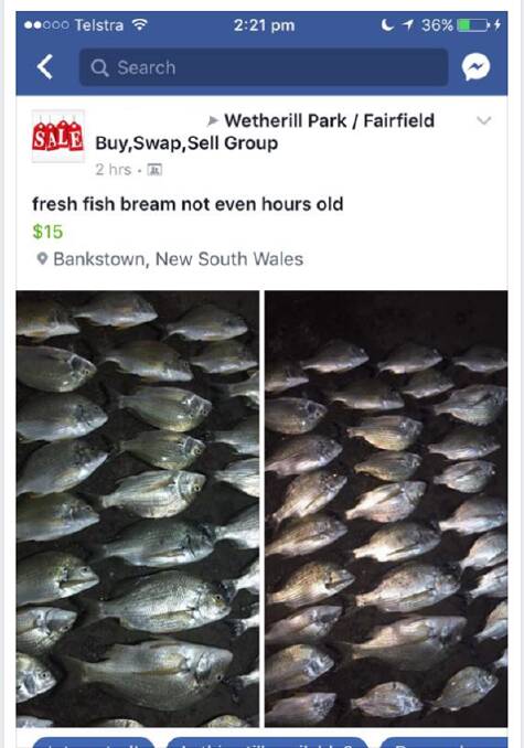 BLACK FISH: One of the Facebook pages being used for illegal trade, in this case bream being sold out of the Fairfield area.
