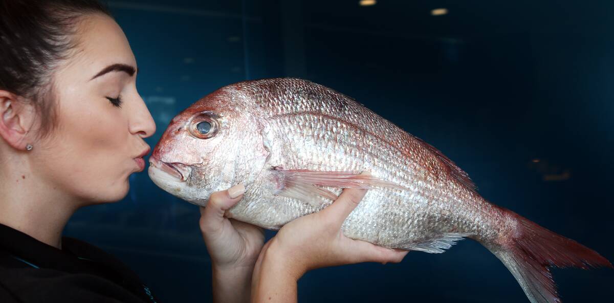 what a catch: Harbourside Fish Market's Rebecca Virtu gets to know a handsome snapper. Picture: Sylvia Liber