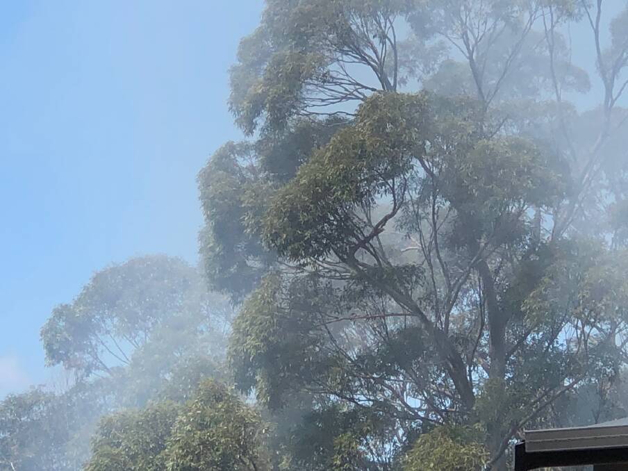 DON'T PANIC: The bush was full of smoke from the hazard reduction burn.