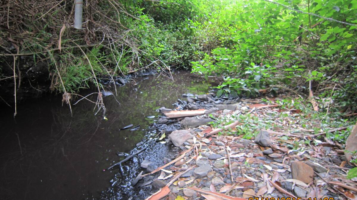 SLUDGE: An EPA photograph of the Bellambi Creek spill in December 2015.