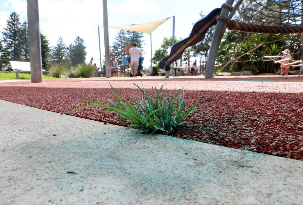 NO MORE: Residue from glyphosate use at Thirroul playground in 2019.