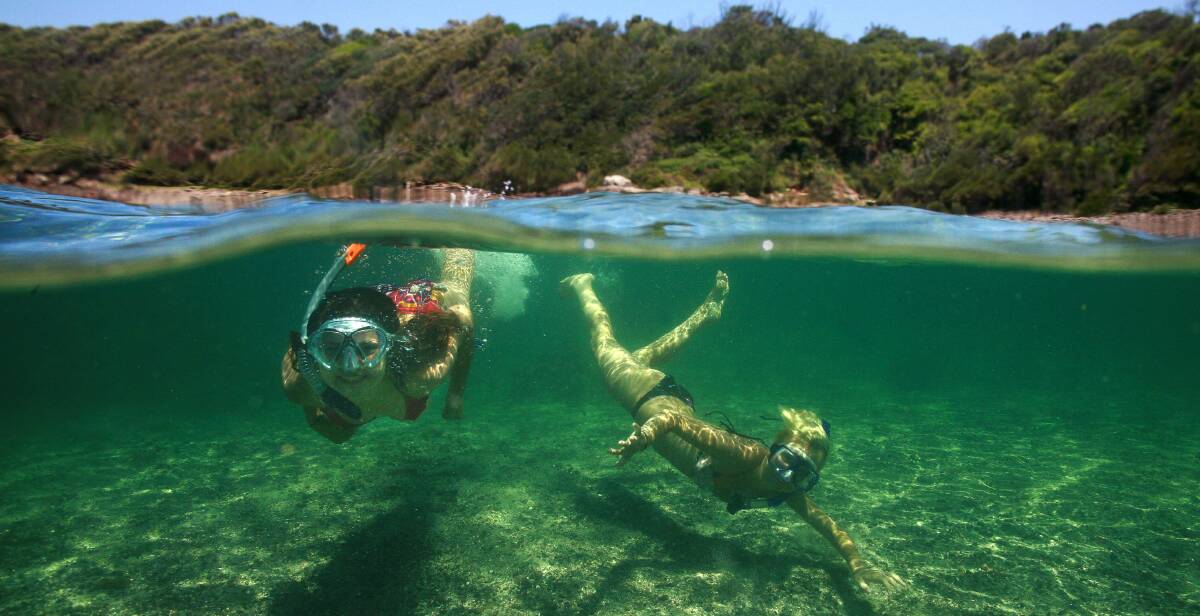 Crystal clear: A duo snorkelling at Bushrangers Bay in Shellharbour's Bass Point reserve, where fishing and collecting is banned for the sake of wildlife ...