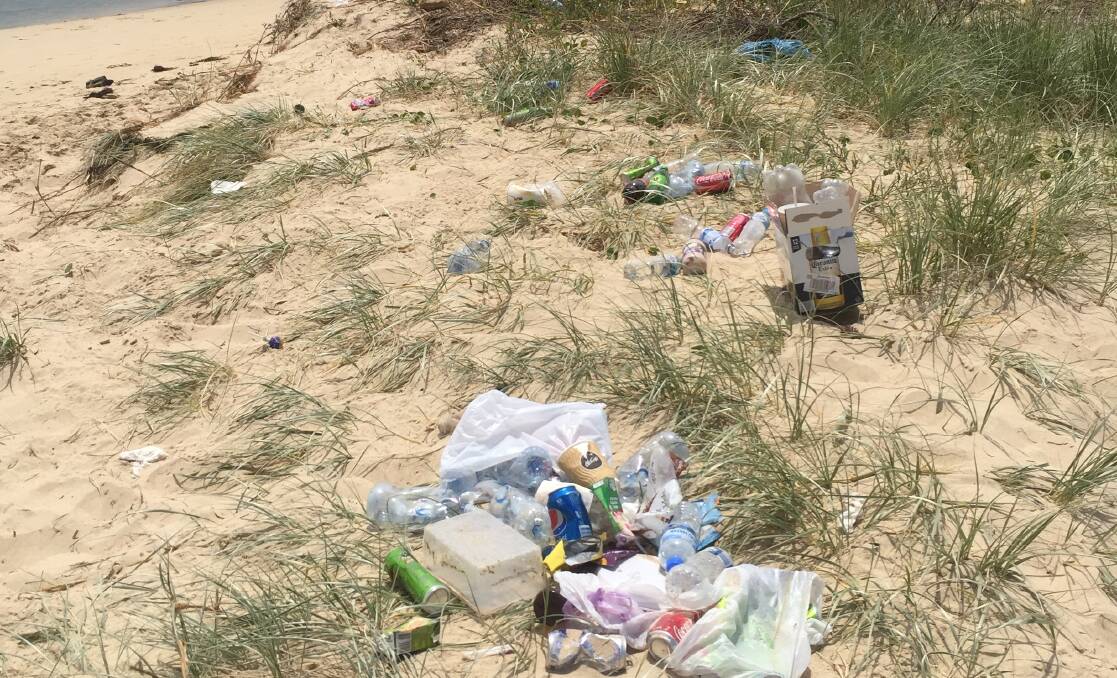 What are you thinking?: Locals are fed up with senseless litterbugs leaving their junk behind after a day at the beach. Pictures above and right: Paul Wheeler.