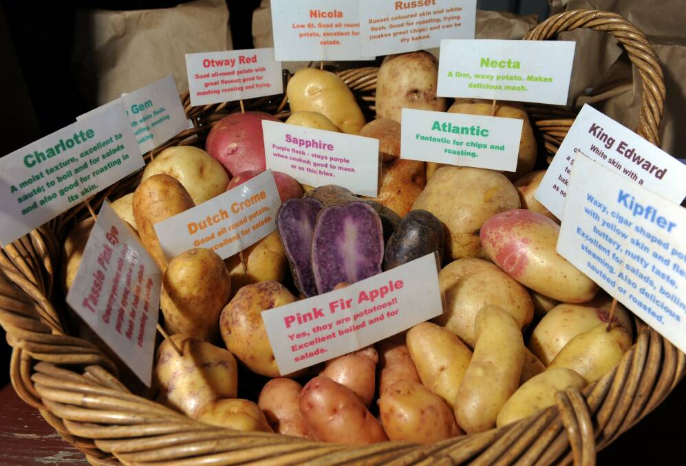 Choose a starchy type of potato, not waxy.