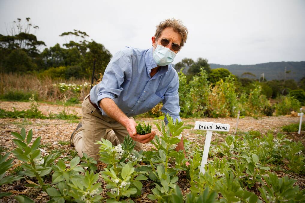 GROWING: Rod Logan gets to work in the Woonona Community Garden in Carrington Street. Picture: Anna Warr