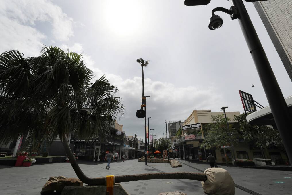 SAVED: The Cabbage Tree palm up the pole in Crown Street Mall can survive being set alight. Picture: Robert Peet