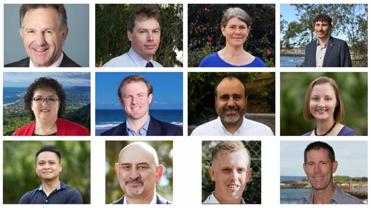 Meet the council candidates in Wollongong's ward 2