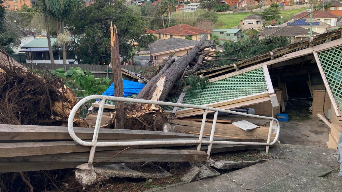 A large tree fell onto a shed at a Lake Heights home when gale force winds hit the Illawarra. Picture: Dapto SES unit