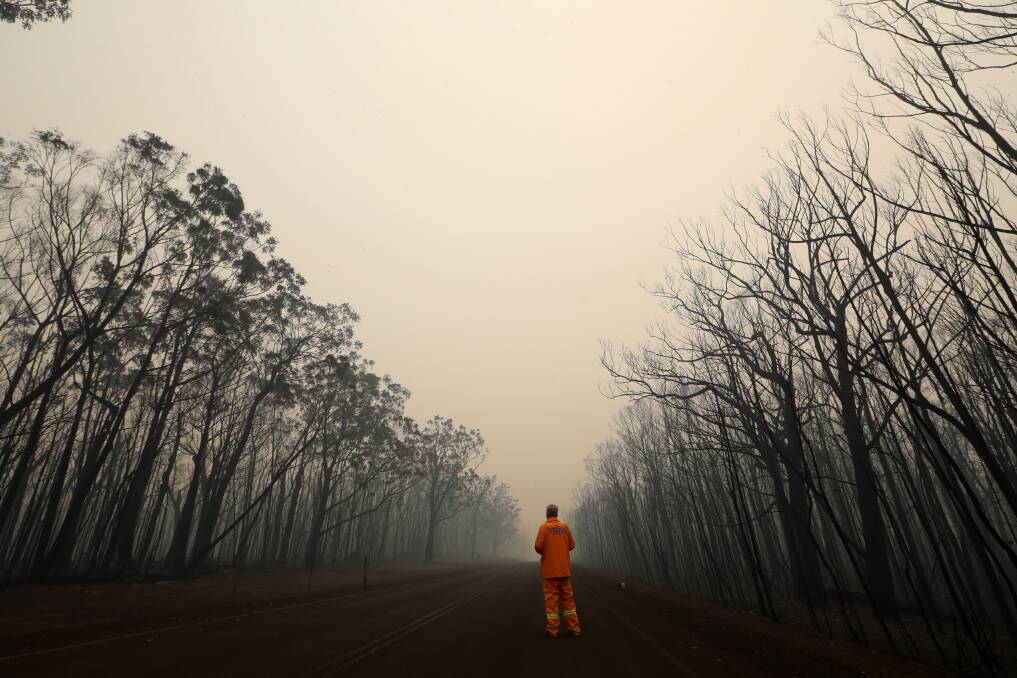 Trees left blackened after the Currowan bushfire passed through. Picture: Sylvia Liber