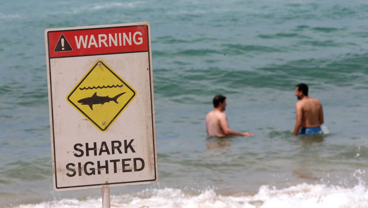 A shark sign at a beach. File picture by John Veage