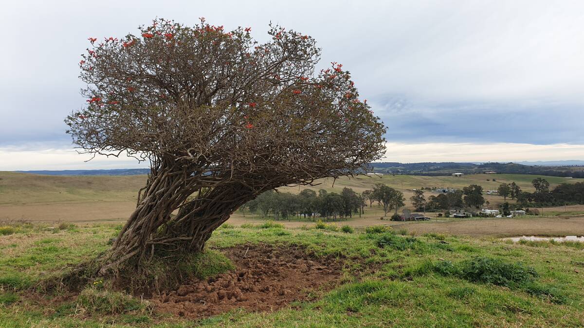 The view of some of the Appin massacre heritage-listed site from Quarter Sessions Road. Picture by Heritage NSW.