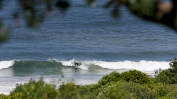 A surfer at Killalea Regional Park in March 2024. Picture by Sylvia Liber
