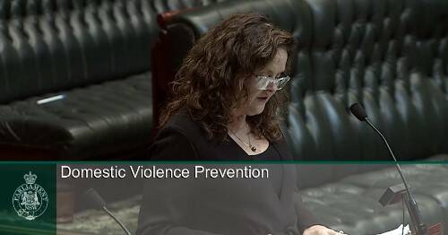 Shellharbour MP Anna Watson took to the floor of NSW Parliament on Thursday.