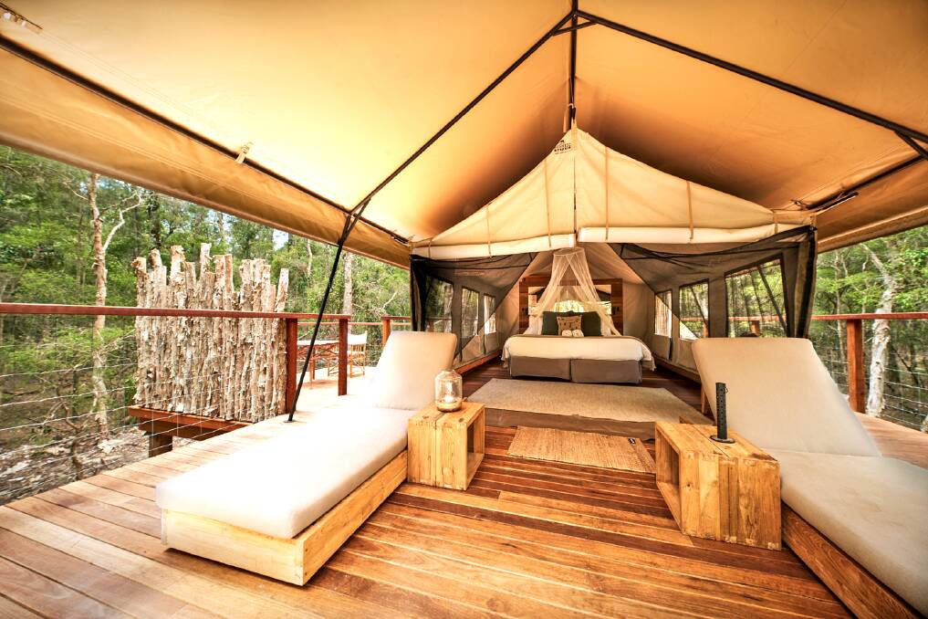 Spoilt for choice: There's a range of tents with different levels of luxury. Pictures: Supplied