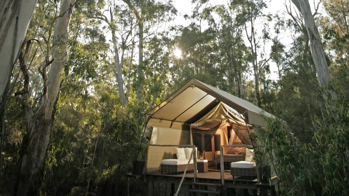 Southern comfort: The luxury safari-style tents at Paperbark Camp are a great place to relax and unwind. Pictures: Supplied