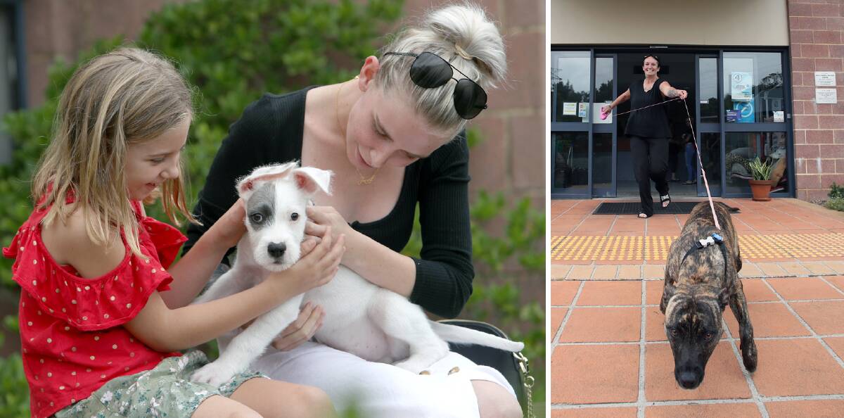 Paw-fect match: Chloe Richardson and mum Annie Gallacher with their new puppy; and Renee Chapman with River. Pictures: Adam McLean