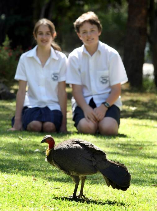 First impressions: Mary and Kyle as Year 7 students, were photographed for a Mercury article on Boris the bush turkey and his exploits. Picture: Orlando Chiodo