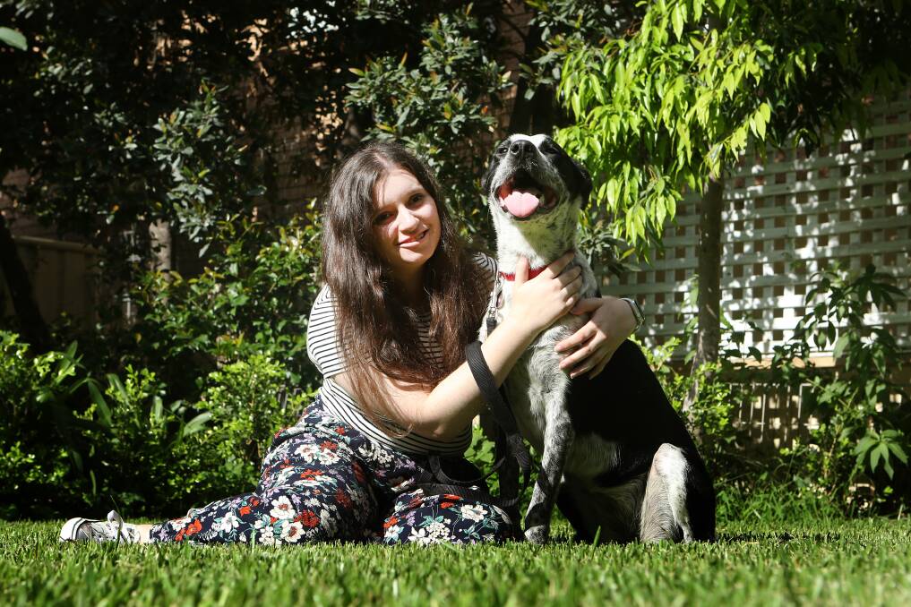 Rare disease: Izzy Madry - with her companion dog Gracie - has been diagnosed with Bloom Syndrome which makes her far more susceptible to cancer. Picture: Sylvia Liber