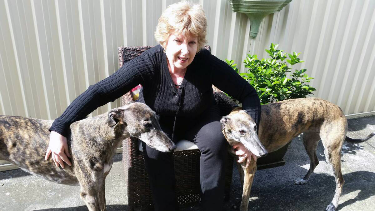 To the rescue: Dapto's Jacqui Hurley has adopted greyhounds Rusty and Sophie, and now encourages others to foster or adopt the gentle animals. Picture: Supplied