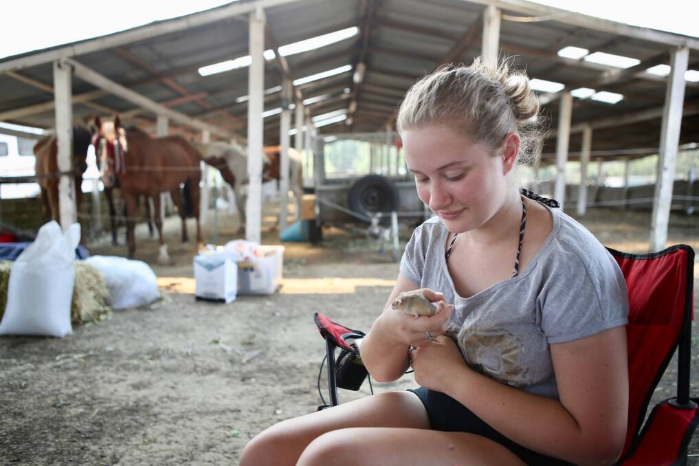 Seventeen-year-old Lily Sanders at Moss Vale Showground with her pet mouse Tiggy. She's evacuated with her parents and their many animals including horses, a pig, cats and birds. Picture: Adam McLean