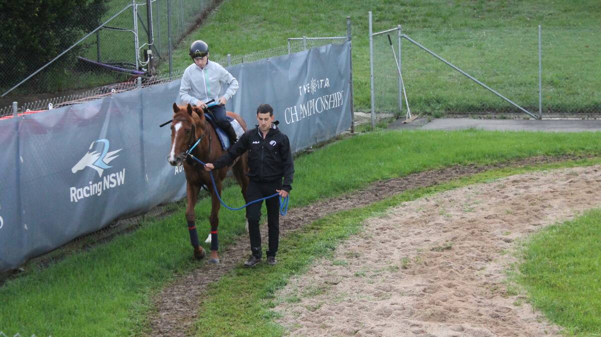 Ciaron Maher's Light Infantry will be the favourite in the Golden Eagle on Saturday. Picture Racing NSW