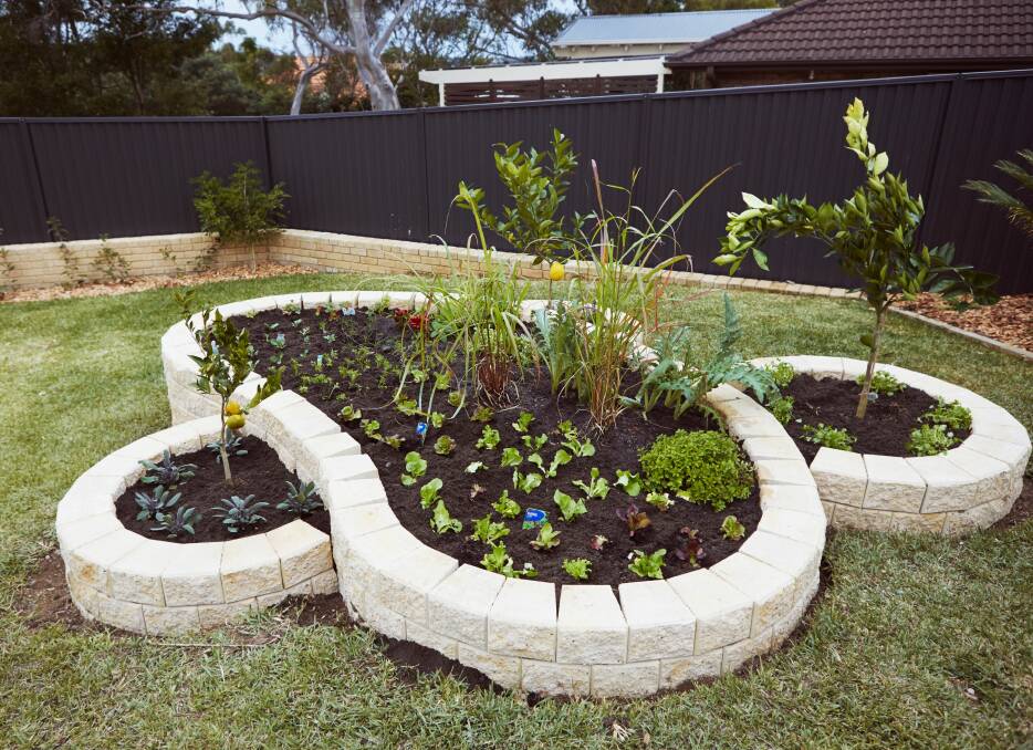 Make a uniquely shaped veggie garden and a fascinating focal point in your backyard. The trick? Use the garden hose to create the curve, then mark the ground and start digging. Picture supplied