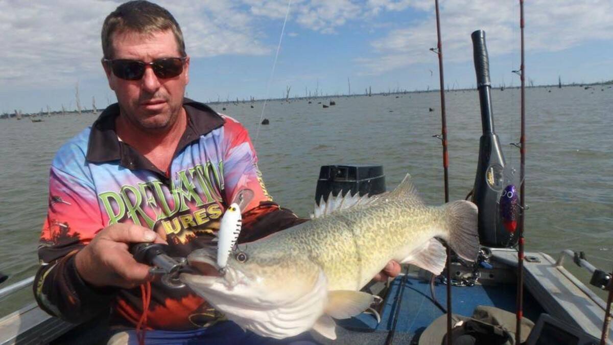 Cod's country: Andrew Chaplin with a nice Murray cod just before release back into Hume Weir.