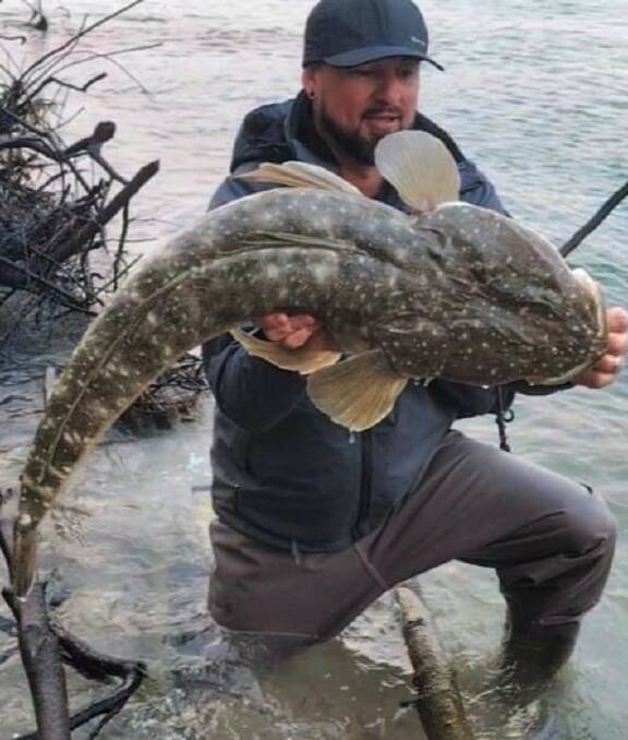 Giant: Gun angler Damien Skeen surprised himself with his capture (and release) of this enormous flathead from a nearby estuary.