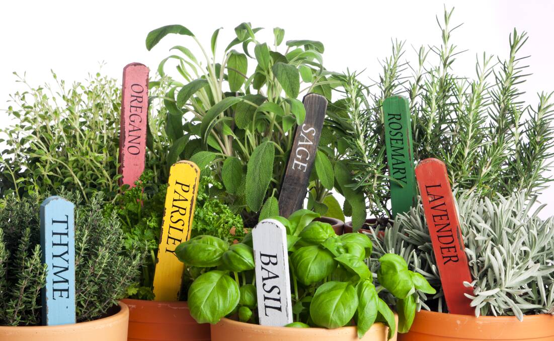Grow your own herbs.