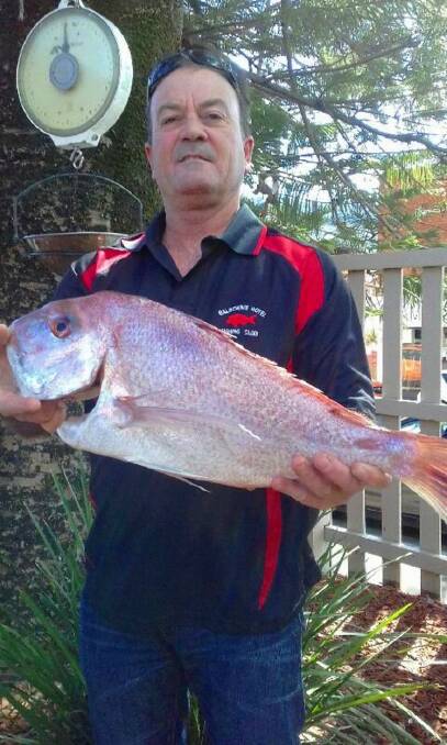 Brown and red: Rod Brown form Bally Hotel Fishing Club with his snapper from last week. (Photos submitted for publication should be high res - around 1MB is ideal)