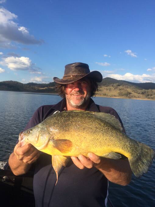 Dam fine fish: Grant Evans travelled to Windermere Dam to get amongst the local golden perch.